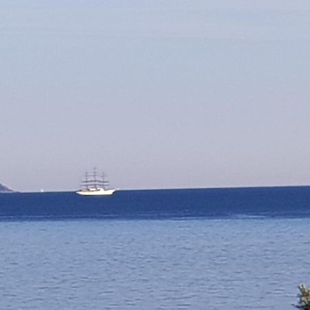 Vieille Ville D Ajaccio De 1 A 4 Pers A 300M Du Port Et A 15 Mn De Laeroport Proches De Plus Belles Plages Et Ttes Commodites A Proximite Εξωτερικό φωτογραφία