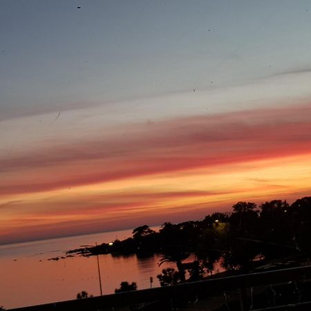 Vieille Ville D Ajaccio De 1 A 4 Pers A 300M Du Port Et A 15 Mn De Laeroport Proches De Plus Belles Plages Et Ttes Commodites A Proximite Εξωτερικό φωτογραφία