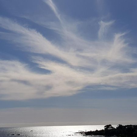 Vieille Ville D Ajaccio De 1 A 4 Pers A 300M Du Port Et A 15 Mn De Laeroport Proches De Plus Belles Plages Et Ttes Commodites A Proximite Εξωτερικό φωτογραφία