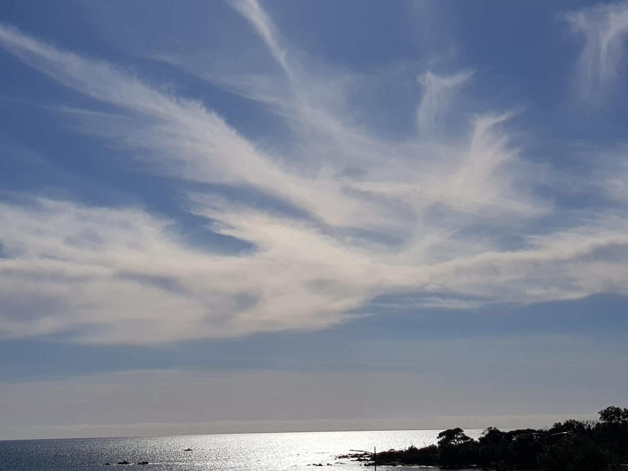 Vieille Ville D Ajaccio De 1 A 4 Pers A 300M Du Port Et A 15 Mn De Laeroport Proches De Plus Belles Plages Et Ttes Commodites A Proximite Εξωτερικό φωτογραφία